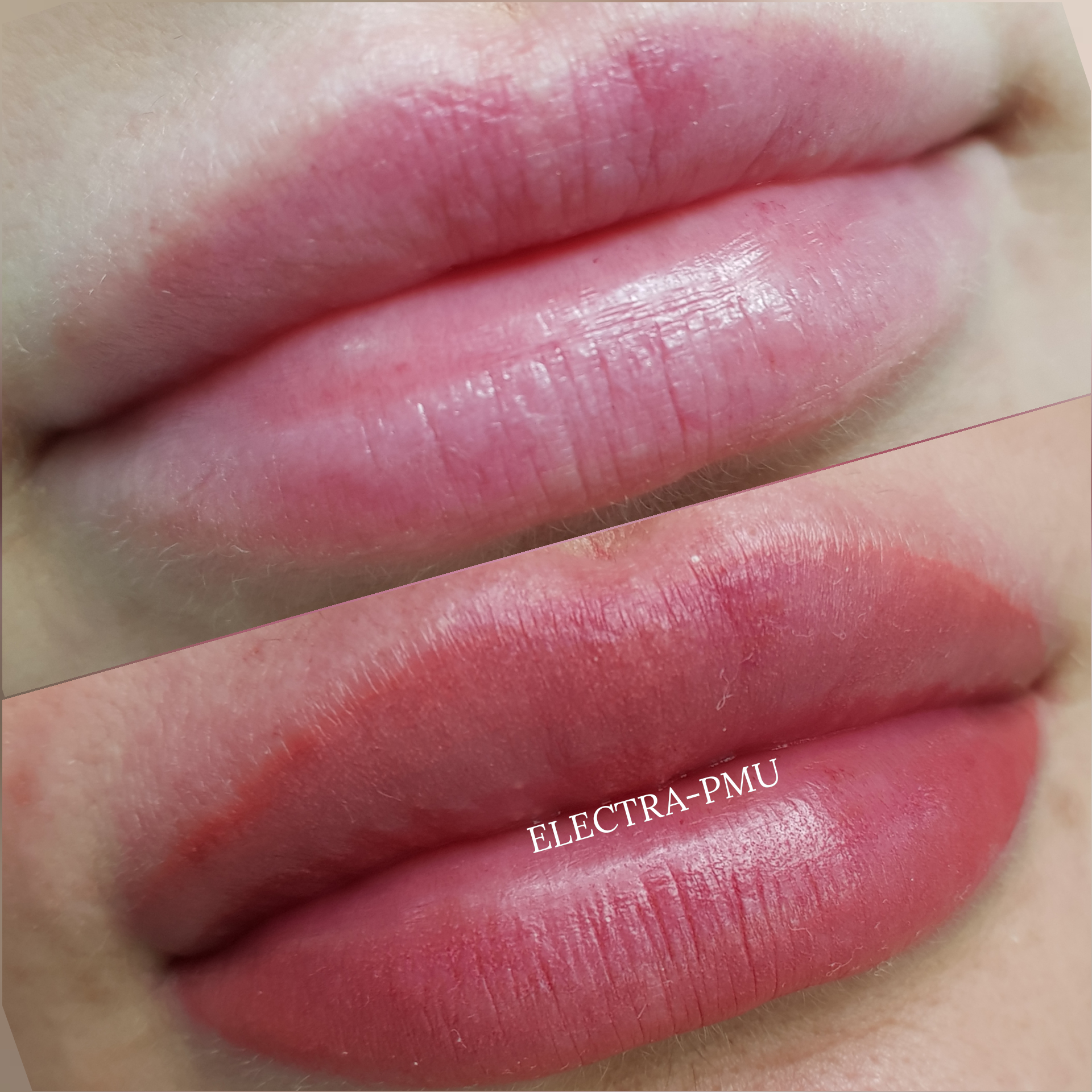 Electra Permanent Make Up Bremen Lippen Referenz